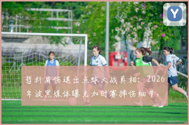 哲科肩伤退出点球大战真相:2026年波黑媒体曝光加时赛摔伤细节,点球手临阵更换原因查明